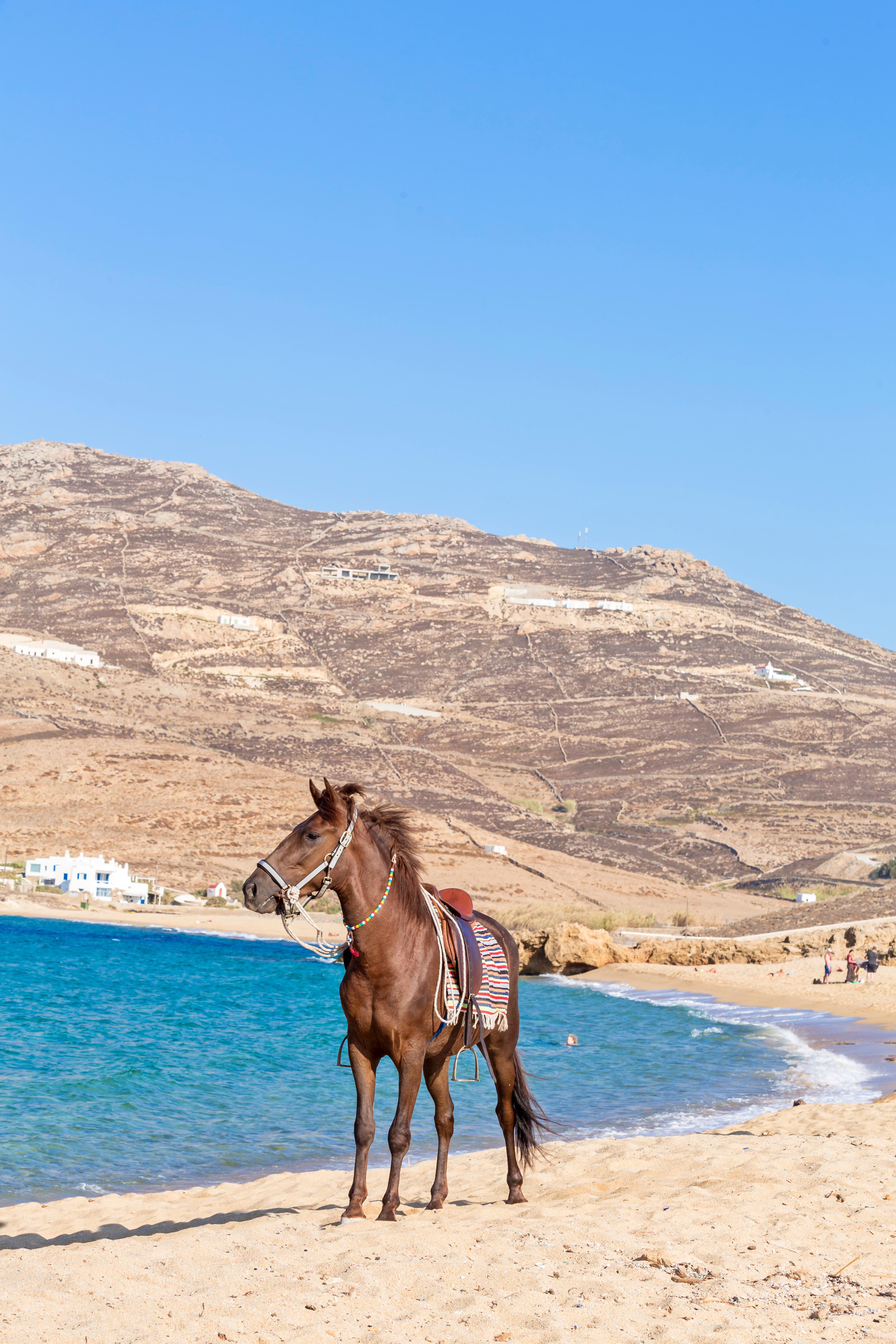 Anamar Mykonos Natural Retreat Ftelia  Bagian luar foto