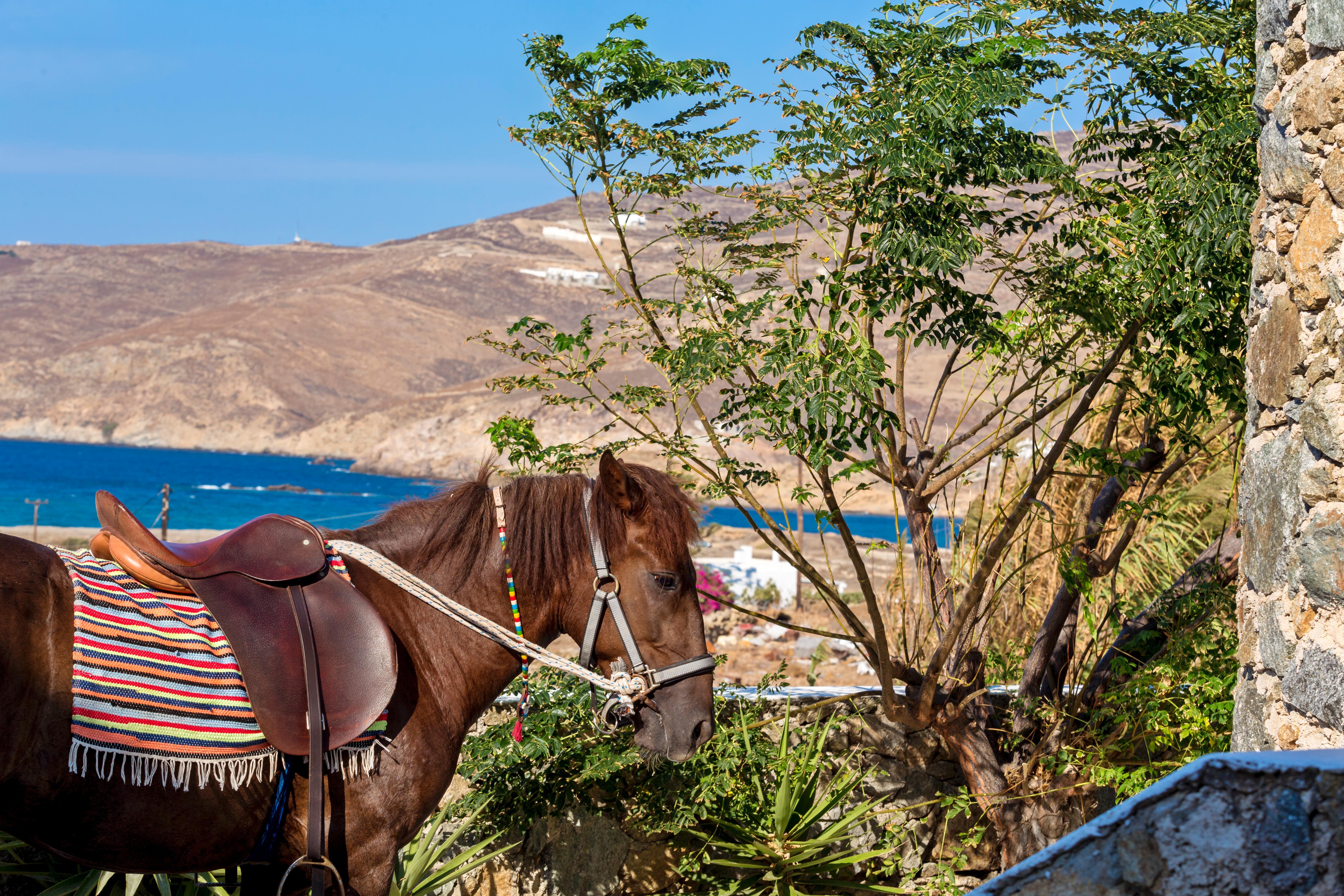 Anamar Mykonos Natural Retreat Ftelia  Bagian luar foto