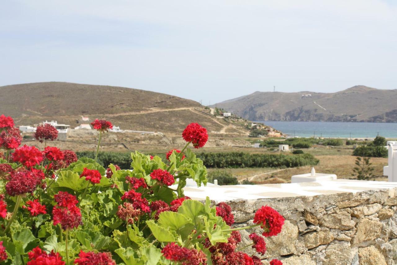 Anamar Mykonos Natural Retreat Ftelia  Bagian luar foto